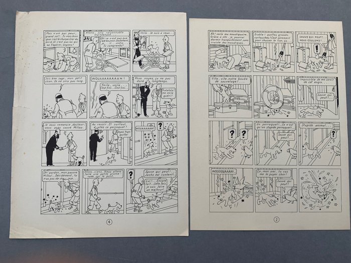 Tintin - Tintin au Congo  - 2 pages  en Édition alternée - 2 印刷版畫