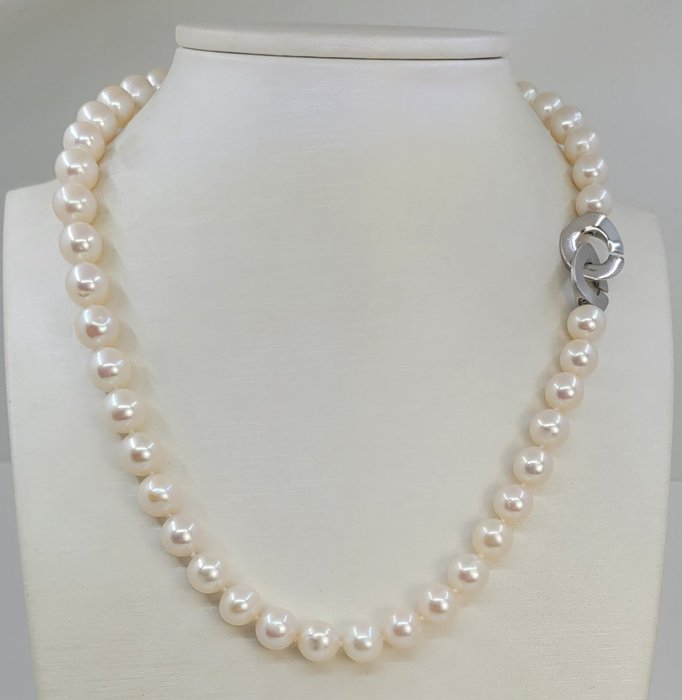 沒有保留價 - 頸鏈 9x10 毫米圓形白色愛迪生 - 925 淡水珍珠，銀色 