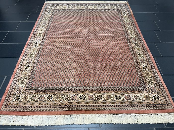 萨鲁克·米尔 - 小地毯 - 245 cm - 183 cm