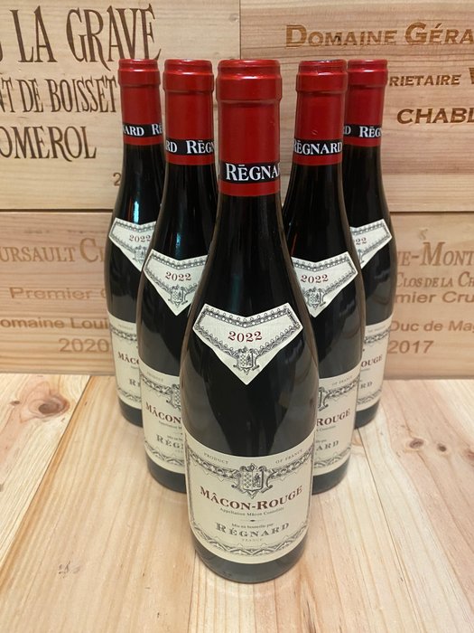 2022 Regnard Macon rouge - Mâcon - 6 Bottles (0.75L)