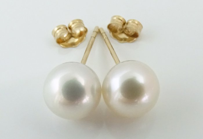 Utan reservationspris - Akoya Pearls, Round, 7.5 -8 mm - Örhängen - 14 kt Gult guld 