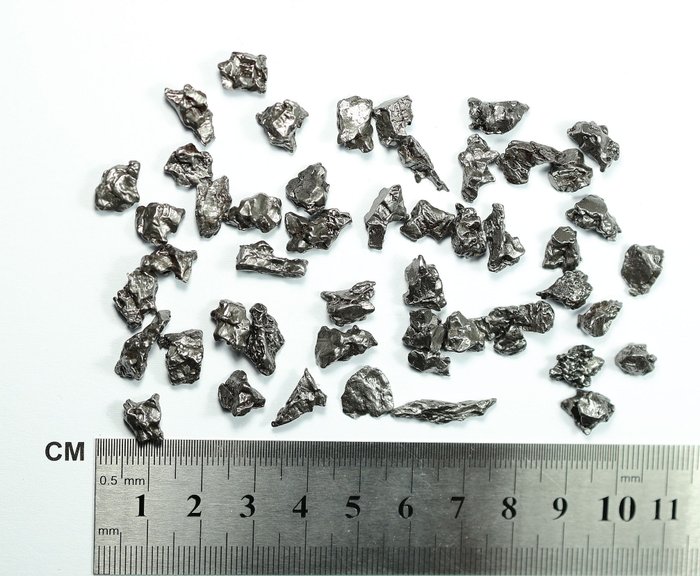 50 x 隕石 Campo del Cielo 粗鐵八面體，IAB 型 - 49.54 g - (50)
