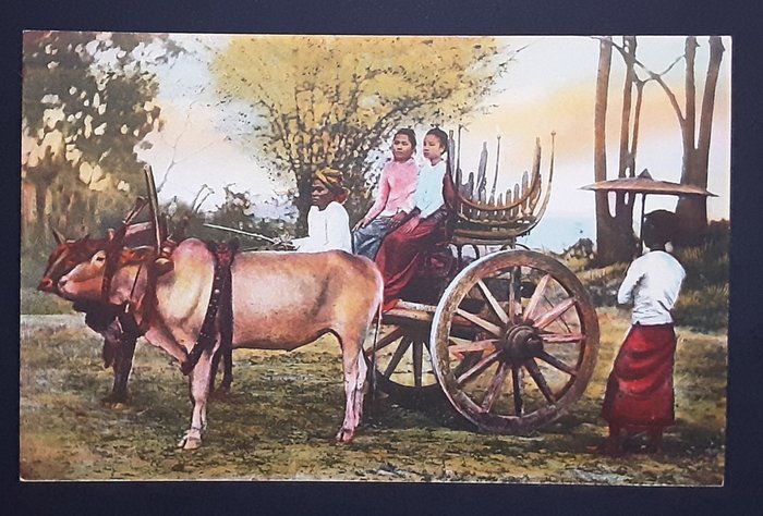 Intia, Italia - Aasia, Etnografia (etniset postikortit) - Postikortti (30) - 1939-1939