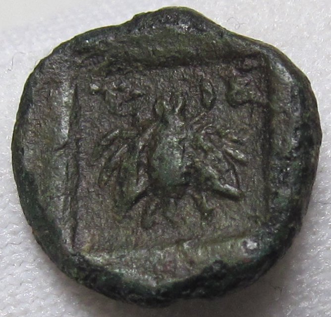 特爾梅索斯利西亞. AE12 circa 150-50 B.C. - tiny 12mm coin - bee within incuse square  (沒有保留價)