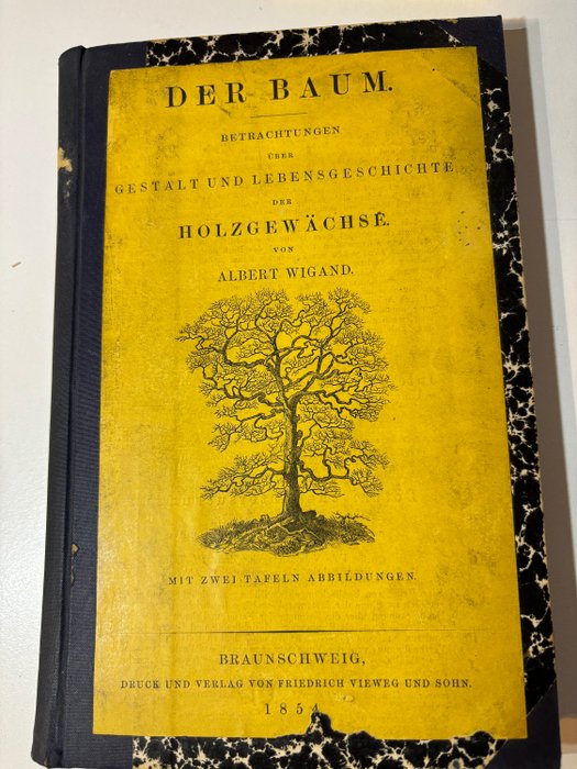 Albert Wigand - Der Baum: Betrachtungen über Gestalt und Lebensgeschichte der Holzgewächse - 1854