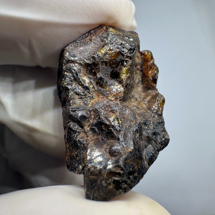 Pedaço de pallasita Não classificado apenas com olivina Meteorito de ferro e pedra - 5.36 g - (1)