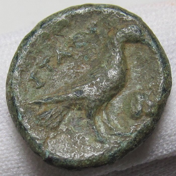 卢卡尼亚， 老挝. AE17 circa 350 B.C. - rare cointype - crow standing over ram's head - magistrate  ΣΤΑ ΟΨΙ