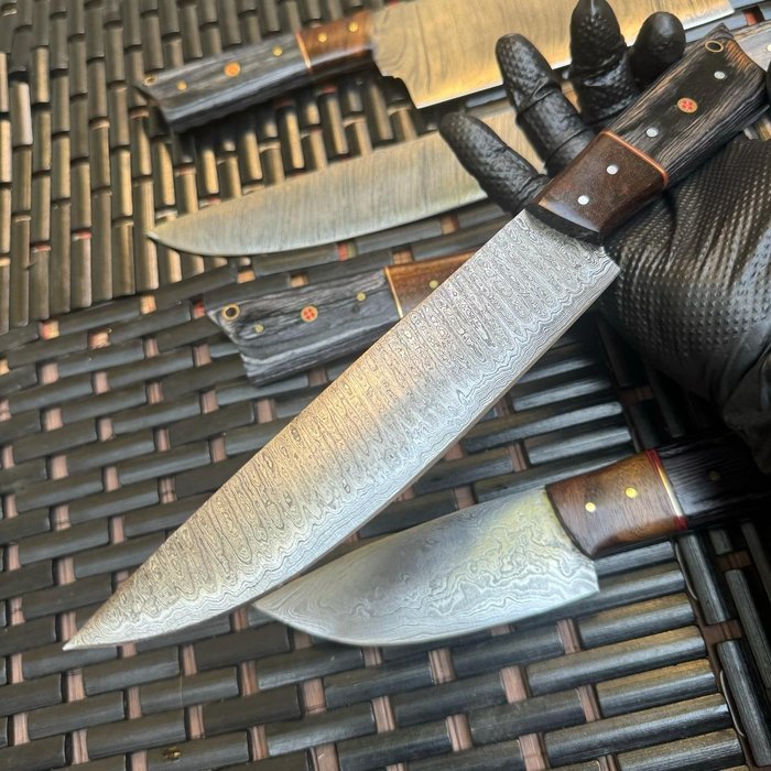 厨刀 - Chef's knife - 缎子, 专业木柄 5 种完整厨房刀具，最适合您的厨房，火中锻造 - 南美