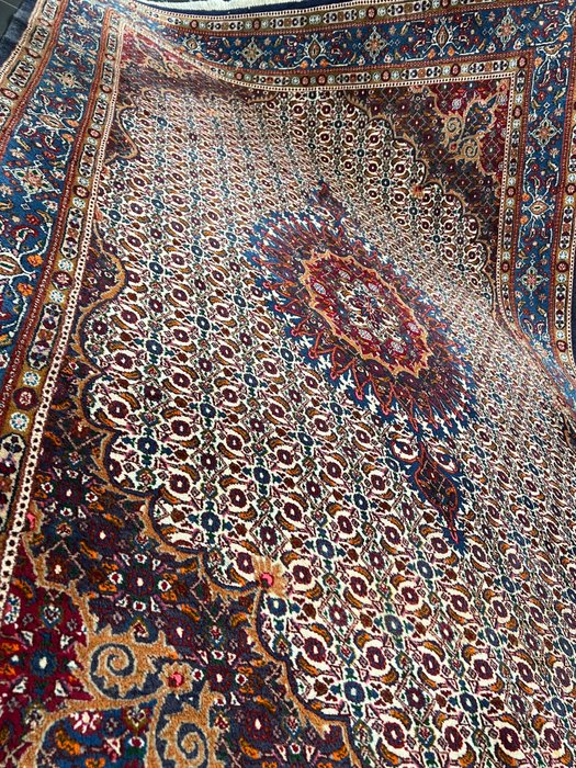 Moud - Carpete - 305 cm - 200 cm