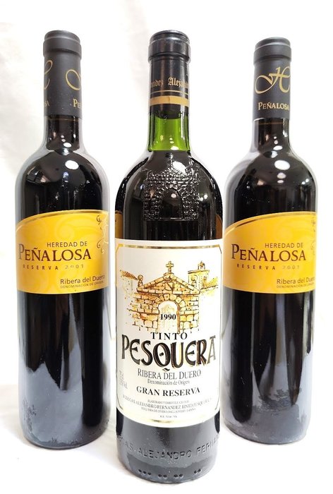 1990 Tinto Pesquera & 2001 Bodegas Pascual, Heredad de Peñalosa x2 - Ribera del Duero Reserva/Gran Reserva - 3 Botellas (0,75 L)