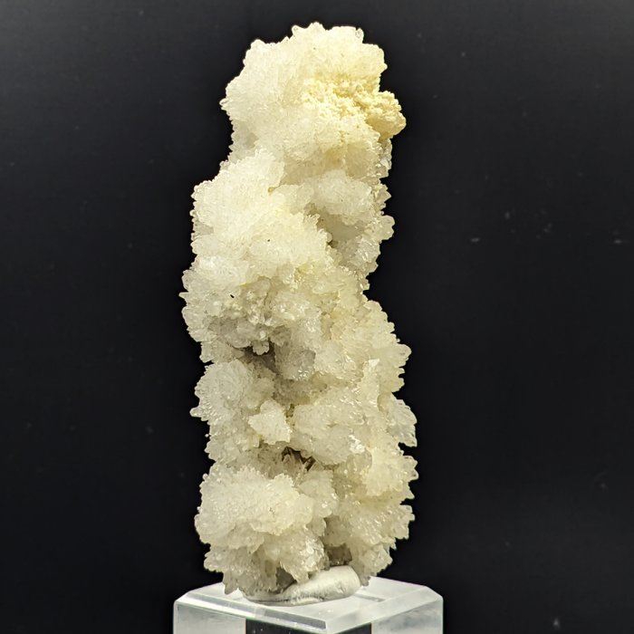 CELESTINA BIANCA 上的双黄硫磺，非常罕见 水晶矩晶体 - 高度: 121 mm - 宽度: 54 mm- 357.23 g