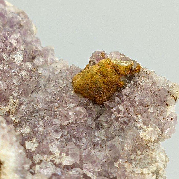 紫水晶晶洞美国，新泽西州，非常罕见 + 方解石 晶球 - 高度: 70 mm - 宽度: 70 mm- 64.71 g - (1)