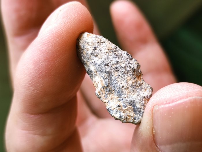 月球长石质陨石 西澳 15604 - 高度: 28.5 mm - 4.8 g - (1)