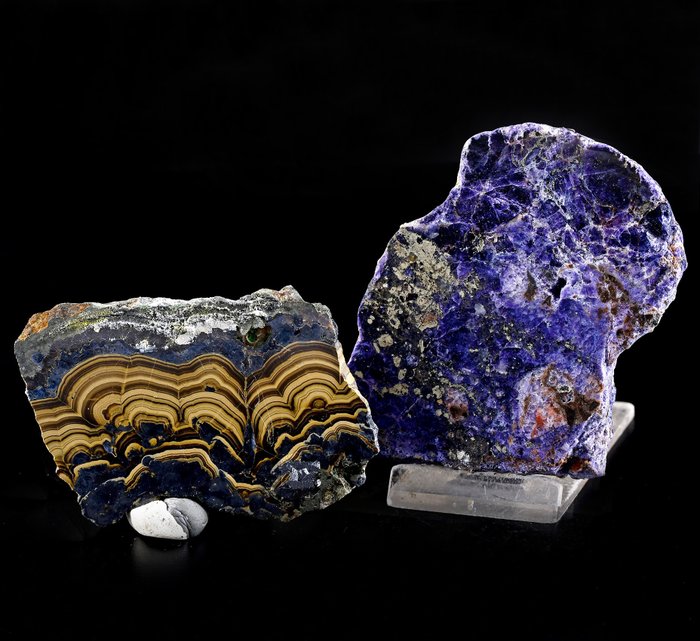 Hochwertige polierte Schalenblende und violetter Fluorit mit Markasit Scheiben - Höhe: 9 cm - Breite: 6.8 cm- 310 g - (2)