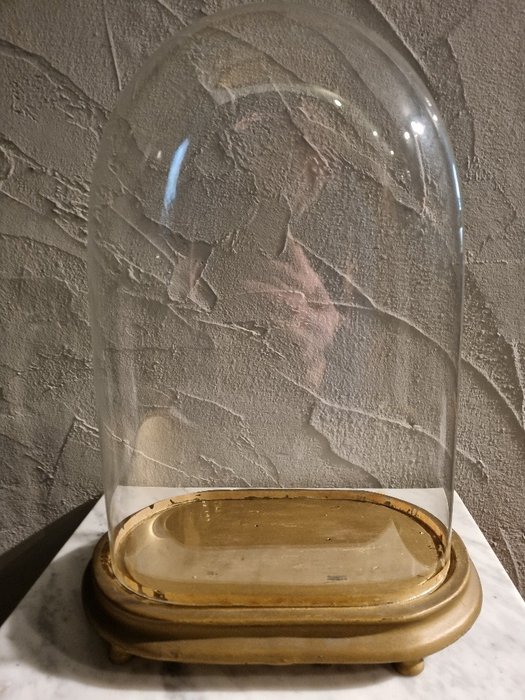 Jordglob - 1921-1950 - Stor oval glasklockburk i fint skick, 26,8 cm bred, 15 cm djup och 39 cm hög utan träfot