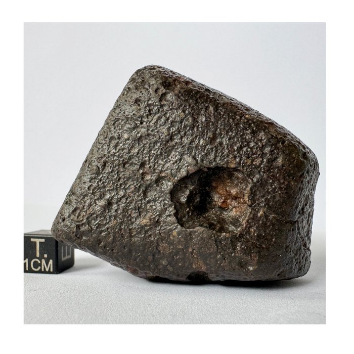 Gyönyörű, osztályozatlan L3 NWA xxx Kondrit meteorit - 219 g - (1)