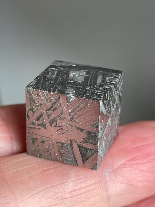 Aletai Meteorit Eisenmeteorit - Höhe: 15.9 mm - Breite: 15.9 mm - 31 g - (1)