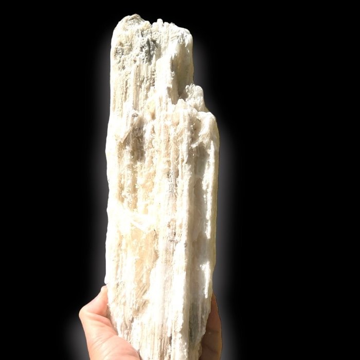 透明石膏 绢云母上的柱状透明晶体 - 高度: 33 cm - 宽度: 10 cm- 1820 g