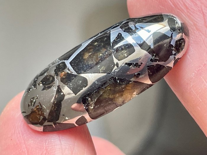 Seymchan Meteorit Pallasit -Cabochon- - Höhe: 32 mm - Breite: 15.4 mm - 9.4 g - (1)