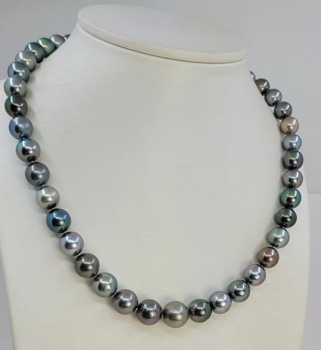 No Reserve Price - Necklace PSL Certified Aurora Peacock - 8.0x11.8mm Multi Tahitian Pearls 