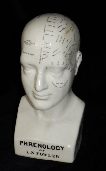 頭部飾物 - Model Phrenology Hoofd - Dr. L.N.Fowler - 英國 