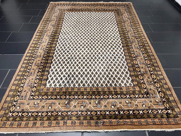 萨鲁克·米尔 - 小地毯 - 305 cm - 200 cm