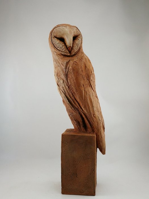 Federico Alibrio - Barn owl