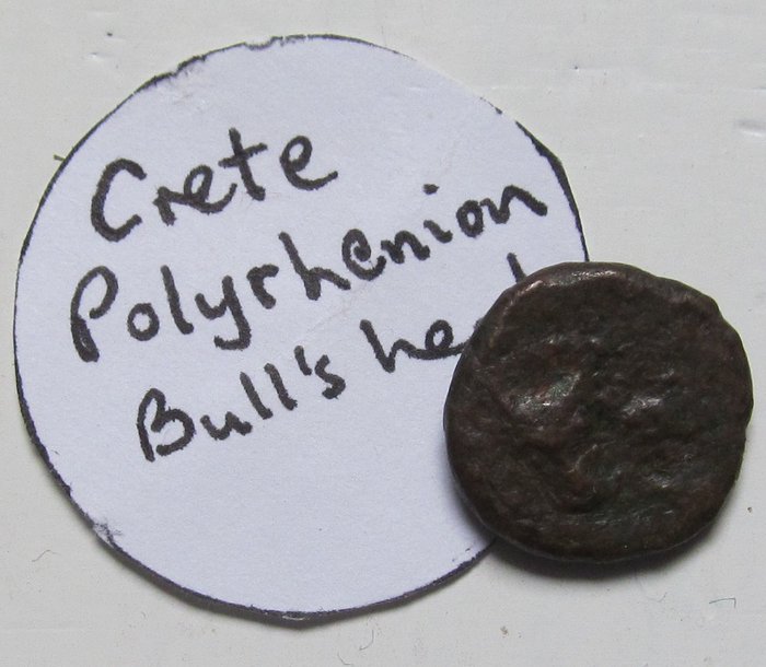 Creta, Polirenia. AE14 circa 320-270 B.C. - small 14mm coin - very rare - facing bull's head
