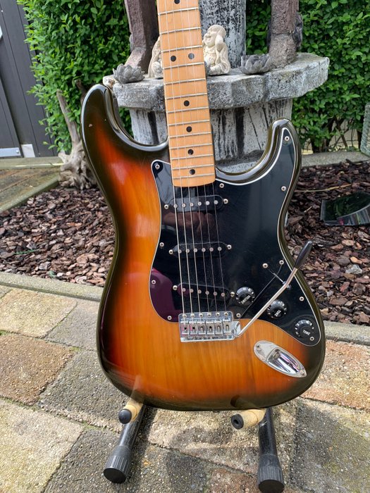 Fender - Stratocaster -  - Umpirunkoinen kitara - Amerikan yhdysvallat - 1979