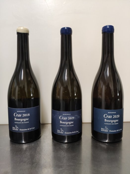 2018 2019 & 2020 Marc Soyard, Domaine des Cras Bourgogne Blanc - Burgundia - 3 Butelki (0,75l)
