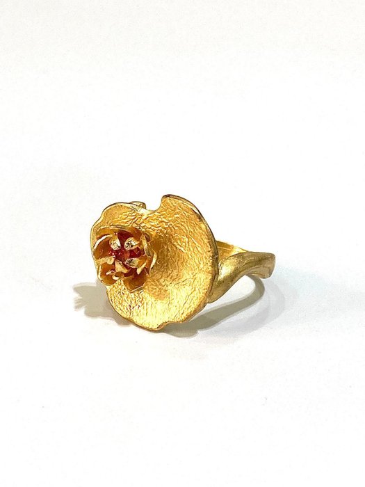 Utan reservationspris - Ring Gold-plated, Silver 