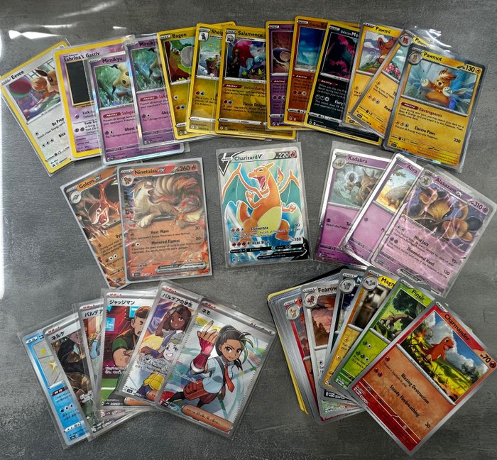 Pokémon Mixed collection - Charizard