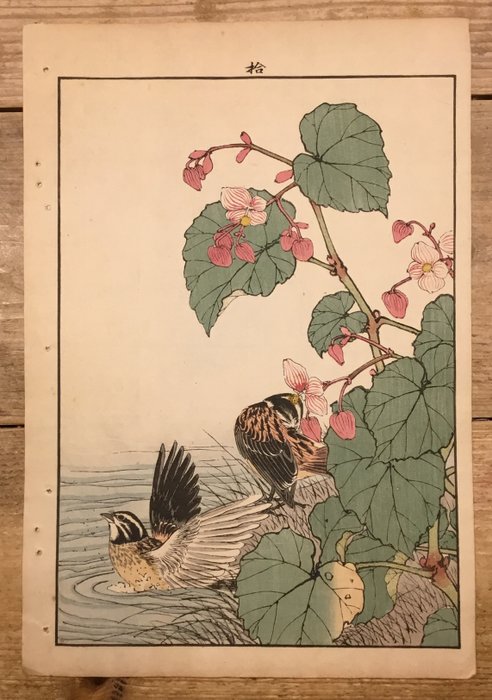 Twee Japanse rietgorzen aan de waterkant onder een bloeiende begonia - 1891 - Imao Keinen (1845-1924) - Japan -  Meiji-perioden (1868-1912)