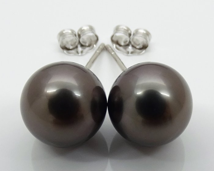 沒有保留價 - Tahitian Pearls, Rikitea Pearls, Aubergine Midnight, Round, 9.31, 9.35 mm - 耳釘耳環 - 14 克拉 白金 