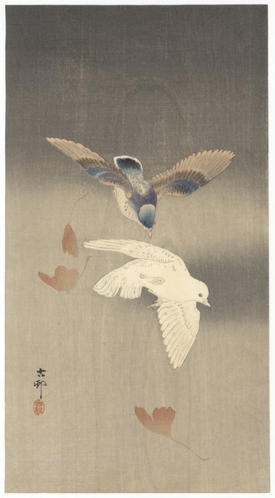 'Pigeons with Falling Ginkgo Leaves in Rain' 公孫樹の落葉と鳩 - Koson Ohara (1877-1945) - 日本
