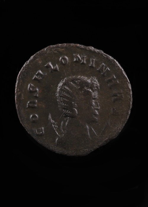 古罗马 黄铜色 萨洛尼纳的安东尼尼安努斯  (没有保留价)