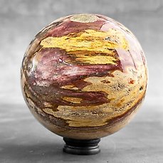 GEEN MINIMUMVERKOOPPRIJS – Prachtige bol van versteend hout op een aangepaste standaard – Gefossiliseerd hout – Petrified Wood  (Zonder Minimumprijs)