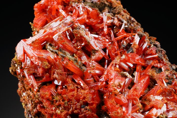 Crocoite 瘋狂的紅色水晶 - 頂部 - 高度: 85 mm - 闊度: 32 mm- 175 g