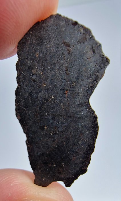 Meteorit Plutonic Angrite, Rafsa 007. Mycket sällsynt, inget reservationspris - 2.48 g