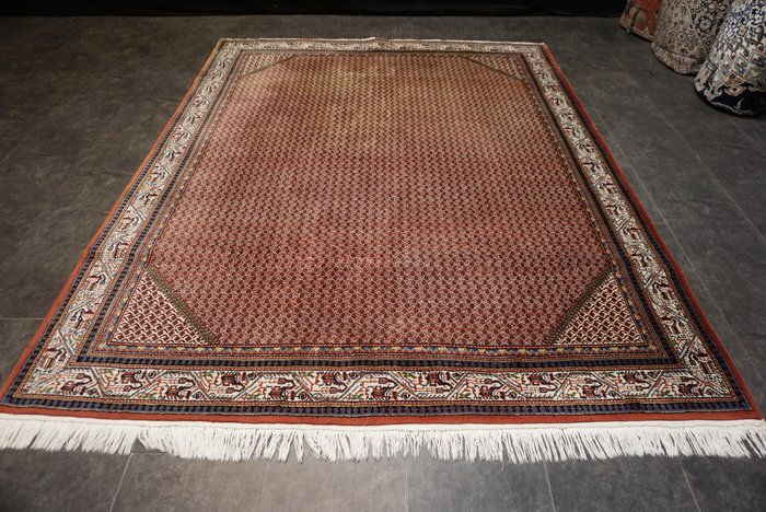 Saruk Mir - Carpete - 245 cm - 195 cm