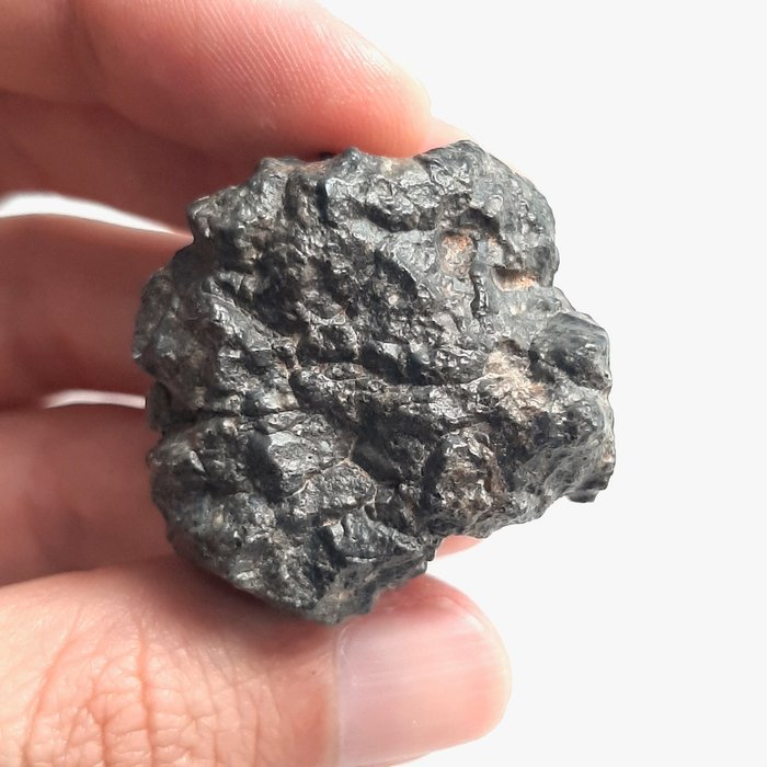 月球隕石。比查006。 來自月球的岩石 - 39.6 g
