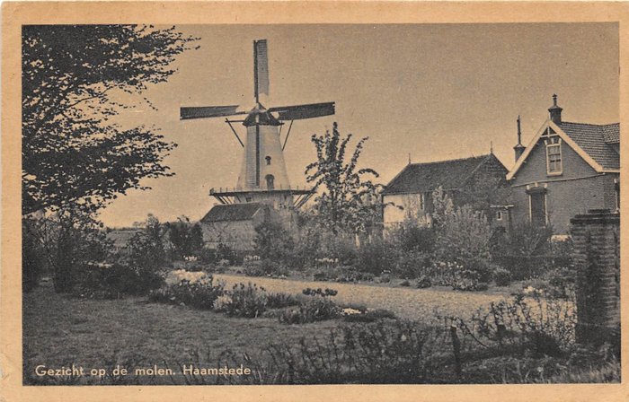 Vindmølle, Mills Mill - Postkort (98) - 1900-1970