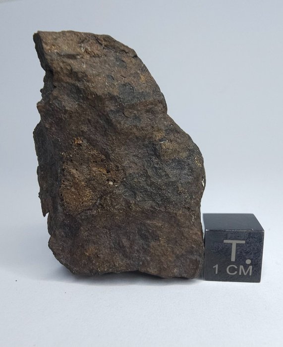 Karbonholdig meteoritt CO3, NWA 16415. Ikke reserver pris. - 63.27 g - (1)