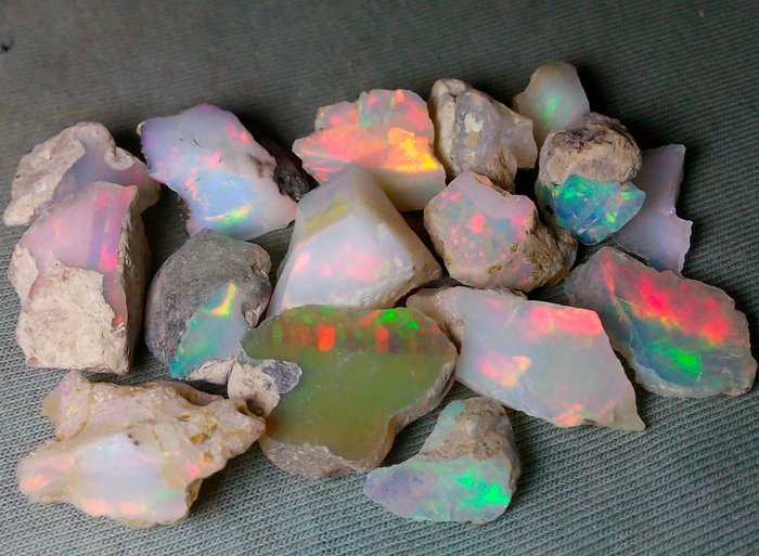 67,8 ct - Natürliche Opale roh- 13.56 g