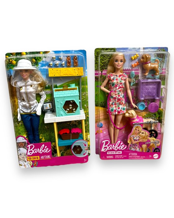 Mattel  - Barbie-nukke Barbie You Can Do Anything Imker en Hondenloper met rolstoel hondje - 2020-