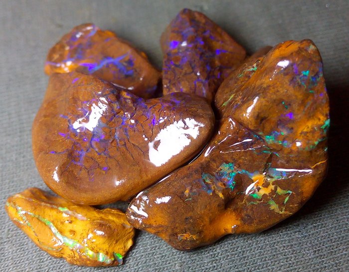 73,5 cts - Opales Boulder "Multicolores" australiennes - Rugueuse- 14.7 g