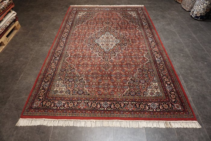 Tabriz - Carpete - 300 cm - 197 cm