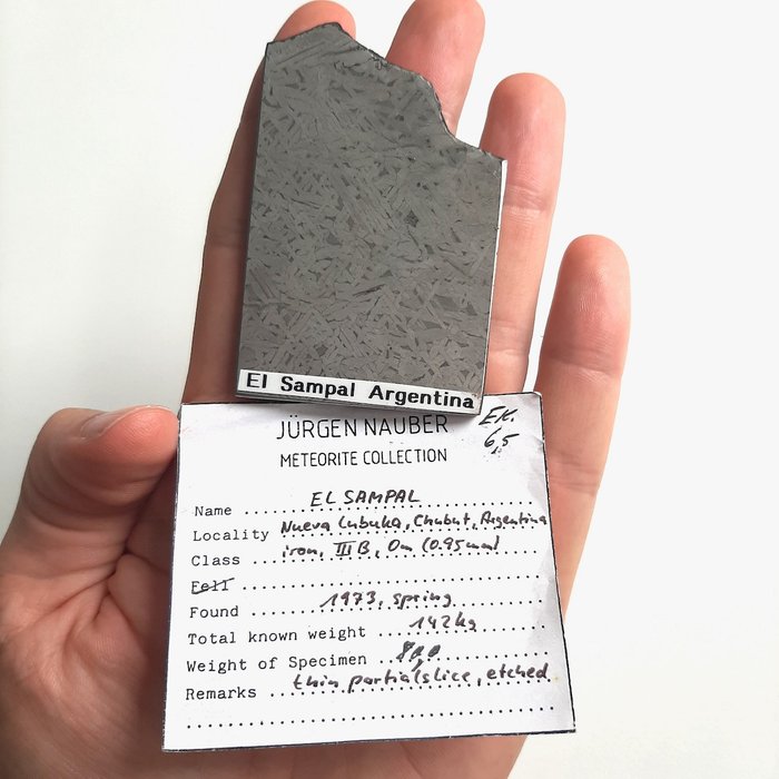 埃尔桑帕尔陨石。来自阿根廷的稀有铁矿 - 80.2 g