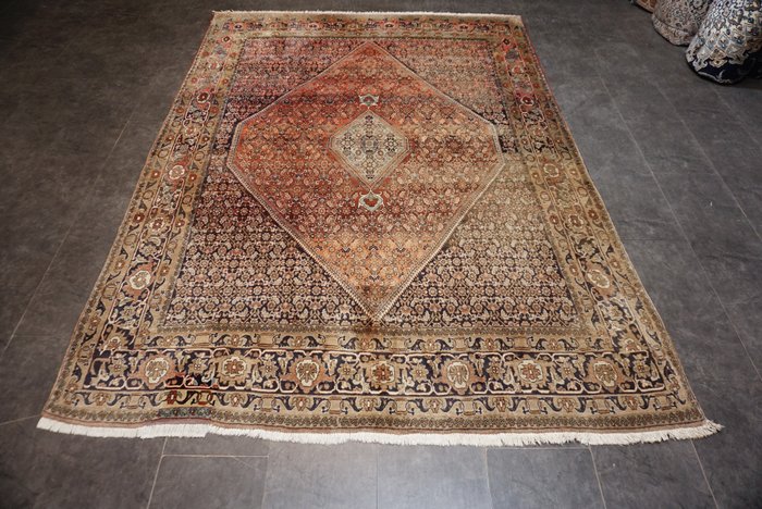 比贾尔 伊朗 - 地毯 - 290 cm - 210 cm