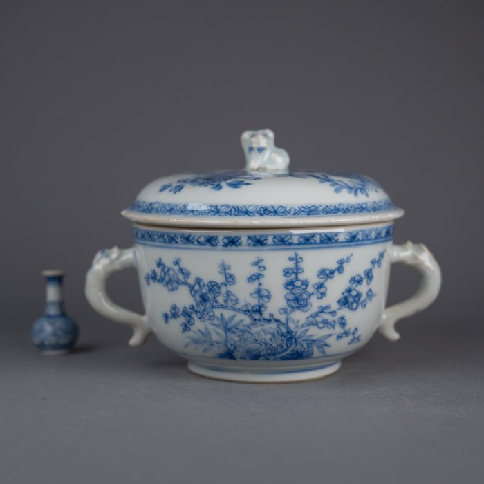 Kangxi (ca. 1700) - Pot - Verbazingwekkende kwaliteit - Chrysant en pruimenbloesem op doorboorde rotsen - Porselein